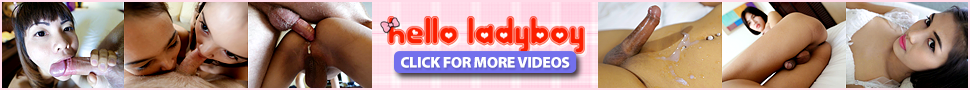 Hello Ladyboy